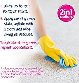 EcoZone Carpet Shampoo Solution 1 Litre Deep Clean Upholstery Plant Based view 3