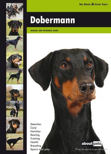 doberman dog online shopping