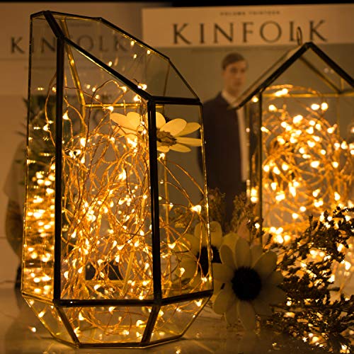 Fairy Lights Plug in, 100Ft 300LED Waterproof Firefly Lights on Copper