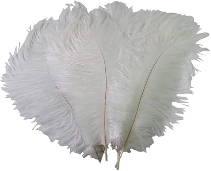 BesYouSel White Ostrich Feathers in Bulk 1618 Inches 25