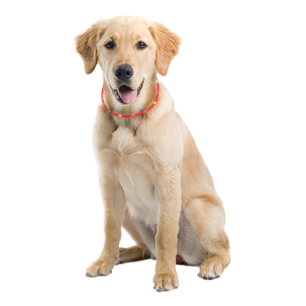 ZOGIN Collar de perro LED, collar de seguridad recargable USB para perro gato y otro animal doméstico, color rojo