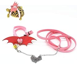 Turtle Harness and Leash with Wings Tortoise Leash