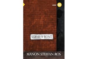 Cyfres Amdani: Stryd y Bont (Welsh Edition)