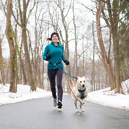 Kurgo 6 in 1 Quantum Leash, Hands Free Leash for Dogs, Running Belt Lead, Crossbody & Waist Belt Style, Reflective… - Image 7