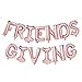 Friendsgiving Decorations Friendsgiving Balloon Banner | Thanksgiving Friends Party Decoration | Rose Gold, 16inch tall