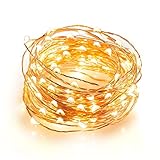 Litake LED String Lights 100 LEDs 33ft Christmas Lighting Flexible Outdoor String lights Waterproof Starry Lights for Bedroom Patio Parties(Copper Wire Lights Warm White With Plug)