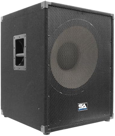 a plus 18 inch speaker price