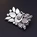 Douqu Fashion Rhinestones Crystal Shoe Clips Wedding Party Shoe Buckle Accessories Shoes Decoration for Women-2Pcs (Black)