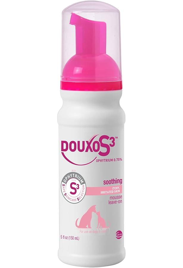 Amazon.com : Douxo S3 SEB Mousse 5.1 oz (150 mL) - Relief for
