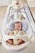 Fisher-Price Papasan Cradle Swing, Starlight