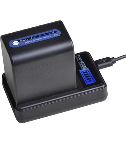 DSTE Batterie de Rechange NP-FM70 NP-QM71 NP-QM71D Compatible avec Sony DCR-PC115 DCR-PC120 DCR DSTE Batterie de Rechange NP-FM70 NP-QM71 NP-QM71D Compatible avec Sony DCR-PC115 DCR-PC120 DCR