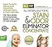 Life Miracle Enzyme Cleaner & Pet Odor Eliminator CONCENTRATE | Deep Cleaning Enzymatic Spot Remover for Dog Cat Urine, Rug, Carpet, Upholstery, Couch, Car Stains & Smells | Makes 2 GALLONS