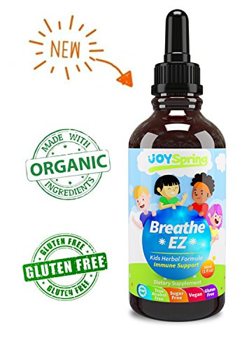 Organic Kids Cough Syrup - Liquid Cough Drops for Congestion, Allergy & Sinus Relief, Elderberry Cough Suppressant & Sinus Cleaner, Sinus Buster for Fast Cough Relief, 1 oz