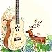 Solid Spruce Ukulele 23 Inch Ukele Concert Uke Mahogany Ukelele Hawaii Guitar