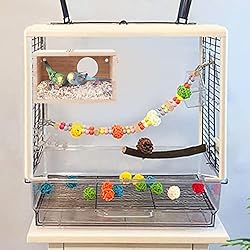 Rypet Parakeet Nesting Box Transparent Design, Bird