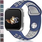 Wepro for Fitbit Versa Bands Sport Silicone Replacement Breathable Strap Bands for New Fitbit Versa Smart Fitness Watch, Large, Blue Gray