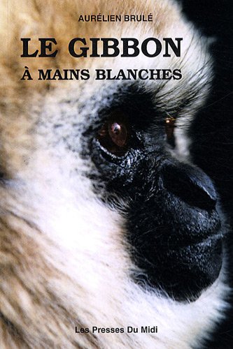 Le gibbon à mains blanches by Aurélien Brulé