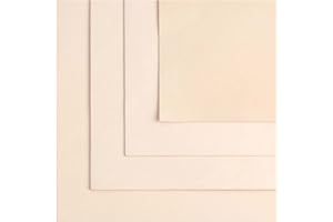 EUROPEAN LEATHER WORKS ELW 7-8 oz.(3-3.2 mm) Thickness Pre-Cut Square 2PCS 8"x12", Tooling Leather Vegetable Tanned Full Grain Leather - Cowhide Leathercraft for Holsters Knife Sheaths Coasters Molding Emboss Stamp Cases