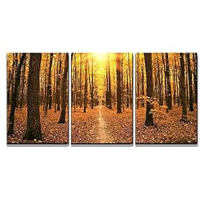 3 Piece Canvas Wall Art - Autumn Trees in The Forest - Modern Home Art Stretched and Framed Ready to Hang - 16"x24"x3 Panels
