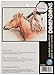 Dimensions Needlecrafts Counted Cross Stitch, Horse Pals