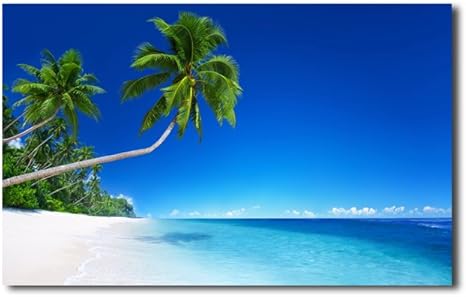 Amazon Co Jp レモンツリーart 海 インテリアアート アートパネル 壁掛け 壁飾り キャンバス絵画 砂浜 青い海 部屋装飾 新築飾り 綺麗な海 おしゃれ お祝いプレゼント60ｘ40cmｘ1パネル ホーム キッチン