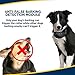 No Bark Dog Collar,No Harm Shock Dog Bark Collar with 7 Levels Button Adjustable Sensitivity Control,Stimulation of No Harm Warning Beep and Vibration for Small Medium Large Dog By QPEY