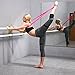 Danzaid Ballet Stretching, Exercise & Workout Resistance Band Foot, Leg & Point Dancer Stretcher - for Yoga, Martial Arts, Gymnastics Flexibility - Travel Bag & Instructions Booklet Included