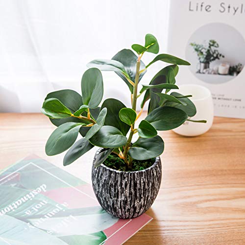 AlphaAcc Mini Potted Artificial Plants Real Looking Plastic Fiddle Leaf Fig Plant with Rustic Black Cement Planter for House Office Desk Decor