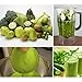 Premium Fine Mesh Food Grade Nut Milk Bag for Almond Milk/Soy Milk - Fine Mesh Nylon Cheesecloth & Cold Brew Coffee Filter, 9