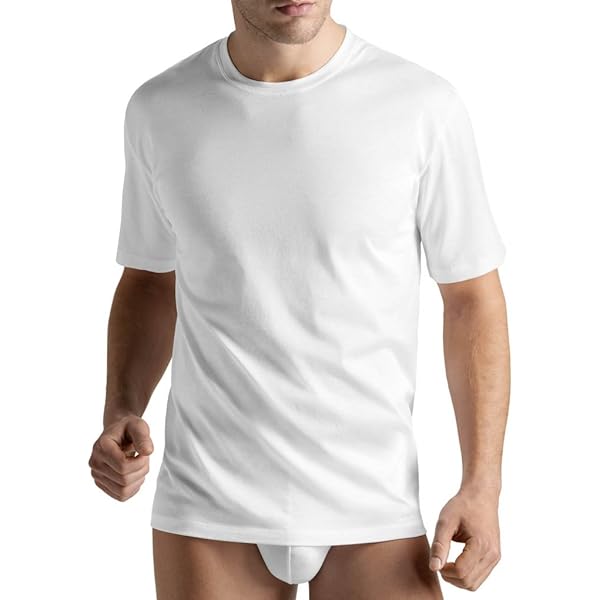 (取寄) ハンロ メンズ リビング ショート スリーブ クルー ネック シャツ Hanro men Living Short Sleeve Crew Neck Shirt Portabella Beige Hanro Men's Living Short Sleeve Crew Neck Shirt, Portabella Beige