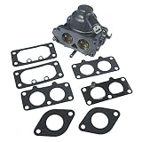 KIPA Carburetor Carb Replacement for Briggs & Stratton 791230 799230 699709 499804 V-Twin 20hp 21hp 23hp 24hp 25hp Manual Choke with Gasket