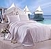 Dreamland Comfort All Natural Mulberry Silk Comforter for Summer, Queen