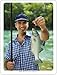 Super Duper Publications Photo Cards, Verbs, New Revised Photos, Tin (WFC02B)