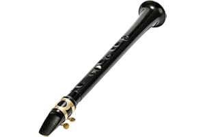 ERYUE Black Pocket Sax Mini Portable Saxophone C-Key Little Saxophone with Carrying Bag Woodwind Instrument