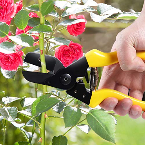 Terme Pruner (Shock Absorbing Squeeze Pruning Shears) - Thumbnail 5