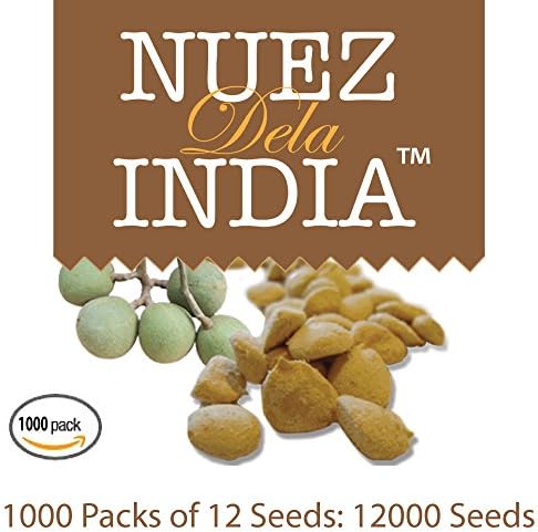 Nuez De La India 100% Original Authentic Indian Nut Weight Loss - 1000 Pack (12000 Nuts Total)