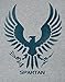 Halo 5 Spartan Logo Boy's T-Shirt (12-13 Years)