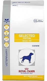 8 week old bunny care