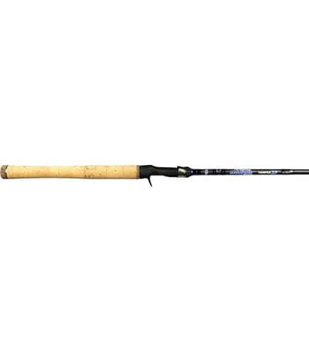 Amazon.com : Shimano ZODIAS, Freshwater, Bass, Casting, 7'2