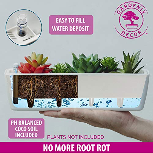 11" Plant pots selfwatering succulent pots easy succulent planters
