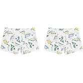 Under the Nile Boy's Organic Cotton Boxer Briefs, Set of 2, Dinosaur Print, 4-5 Years Multicolor