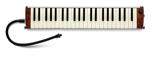 Suzuki hammond melodion