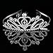 Pixnor Princess Tiara Crown with Comb Wedding Party Children Flower Girl Heart-Shape Crown for Kids Baby Birthday Party Decorations, 2Pack