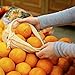 12 packs reusable produce bags washable eco friendly mesh grocery bags, 2 reusable grocery shopping bags and 10 washable muslin cotton bags for food, fruits, veggies grain, things storage