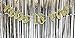 CC Party Co. MISS TO MRS Gold Glitter Cursive Banner with Diamond Ring Detail | bachelorette party | bridal shower | engagement party | wedding shower |