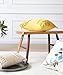 Flber Tassel Throw Pillow Decorative Cotton Sham,12