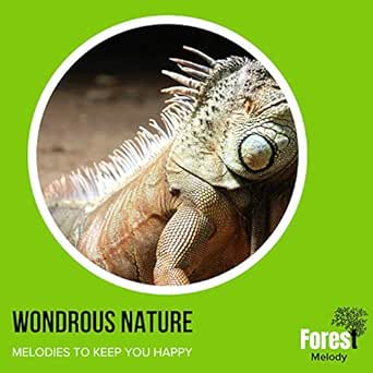 Beauty Of Ashy Tit By Mystical Nature World Music Project On Amazon Music Amazon Com