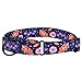 CollarDirect Martingale Collars for Dogs Heavy Duty Floral Pattern Female Safety Nylon Training Wide Collar Flower Design Large Medium (M, Neck Size 12″-17″, Black)thumb 3