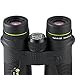 Vanguard Spirit XF 10x42 Binocular, Waterproof/Fogproof, Bak4 Phase-Coated Prisms for Bright, Sharp Resolution , Black