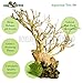 Bonsai Driftwood Aquarium Tree (5 Inch Height) Natural, Handcrafted Fish Tank Decoration | Helps Balance Water pH Levels, Stabilizes Environments | Easy to Installthumb 3